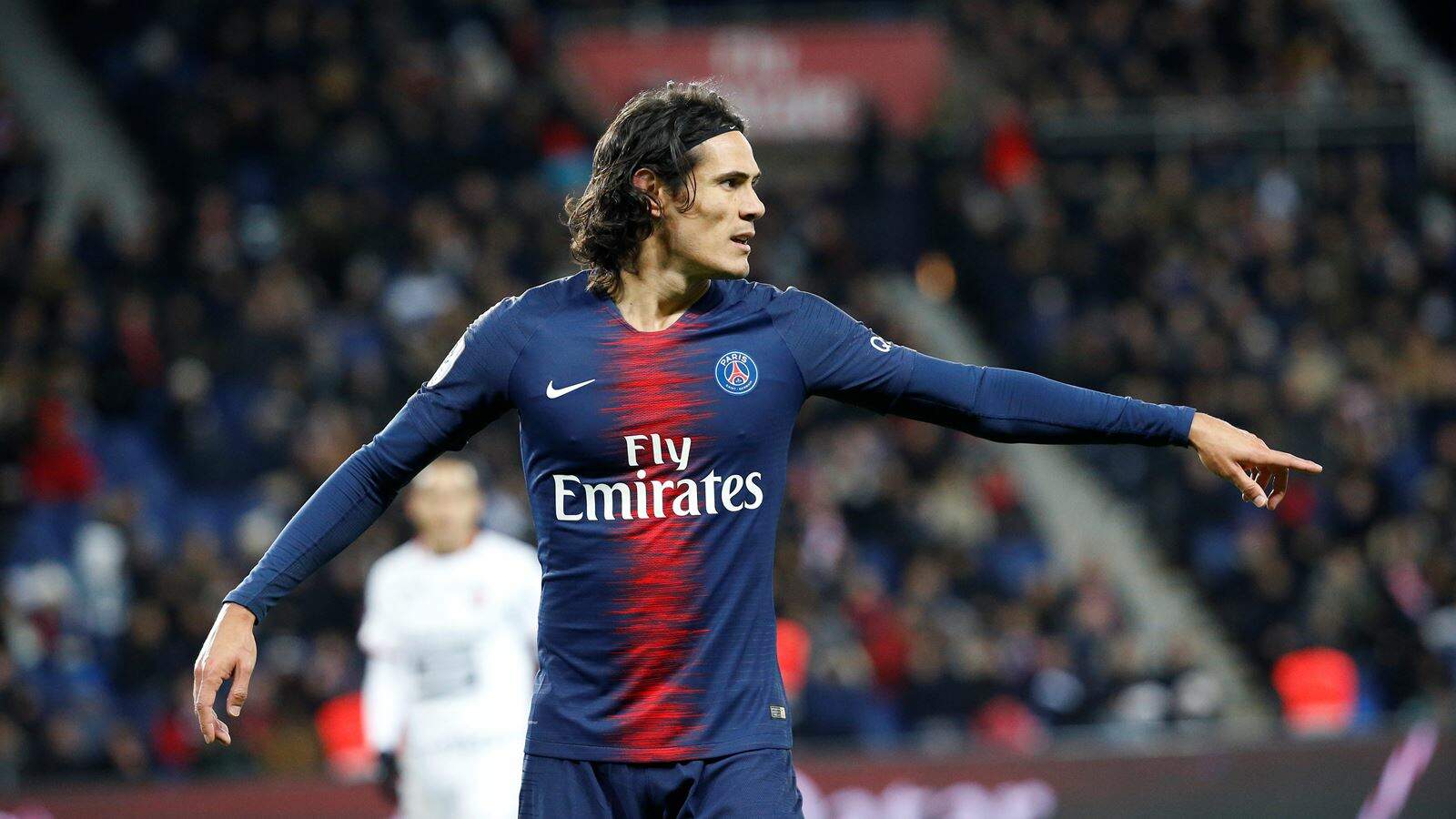 cavani